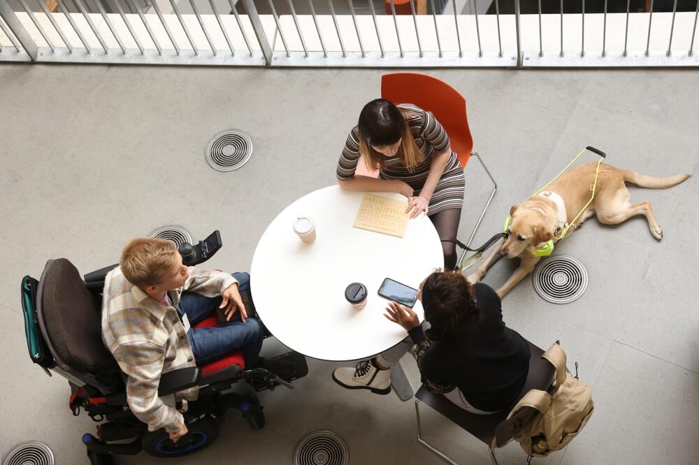 Grafik zu Herausforderungen in der Eingliederungshilfe mit TheraVira Lösungskonzepten